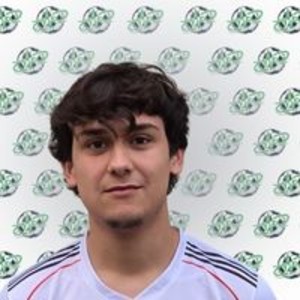 Ulaş Karpuz