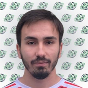 Metin Onur İpek