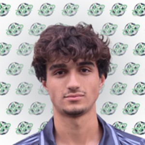 Ahmet Yiğit Aksoy
